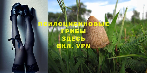 экстази Богданович